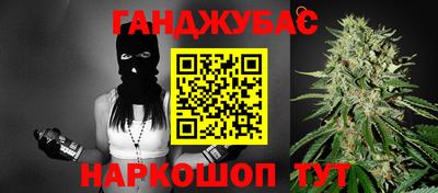 крисы Гай