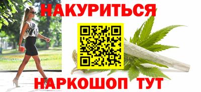 крисы Гай