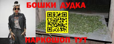 крисы Гай