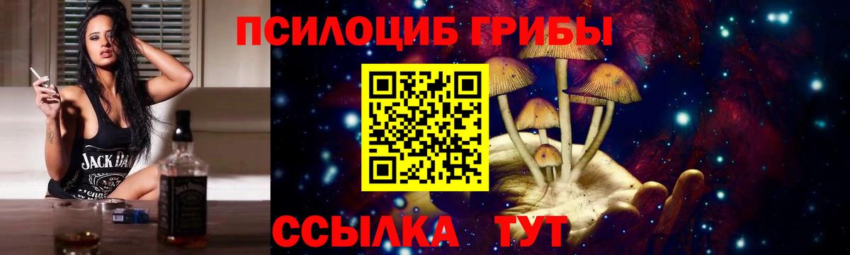 Михайловка  Галлюциногенные грибы мицелий  наркота  Вход с VPN 